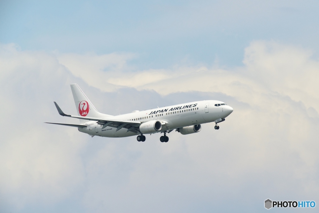 Approach of JAL