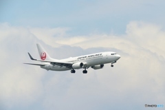 Approach of JAL