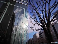冬晴れ