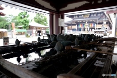 平間寺のお水屋