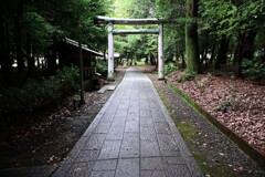 参道(2) 参道(2)