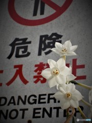 この先デンジャーにつき・・・
