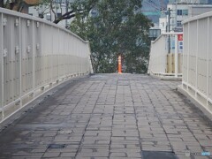 気になる・・・あの方