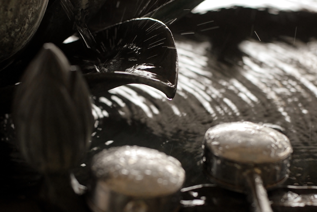 splash