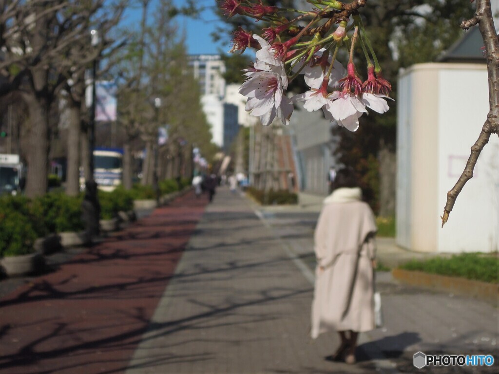 はな