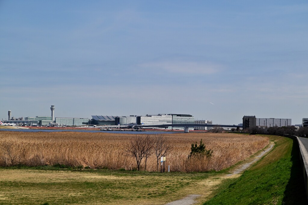 羽田空港・・・多摩川右岸敷より