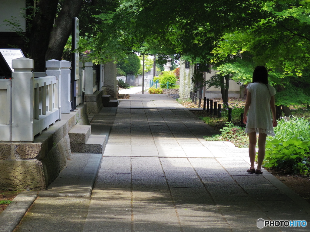 とある風景・・・弐