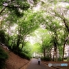 OASIS・・・都会の中の