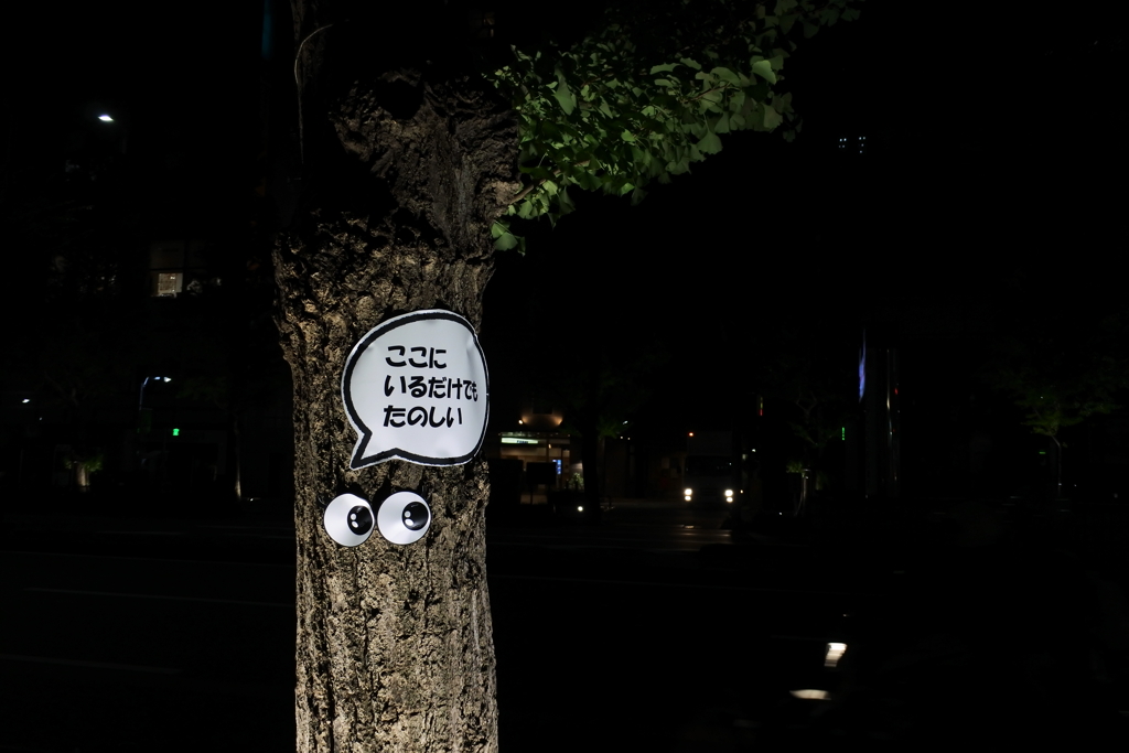 夜散歩・・・