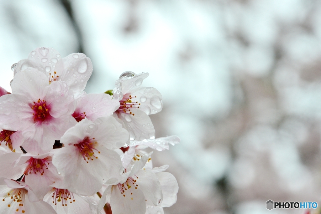 the time of the rainy weather・・・