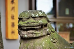 なにか、妖怪？