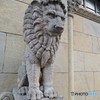 お利口に・・・座っています。＾＾