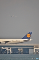 Lufthansa・・・そそくさそそくさっと