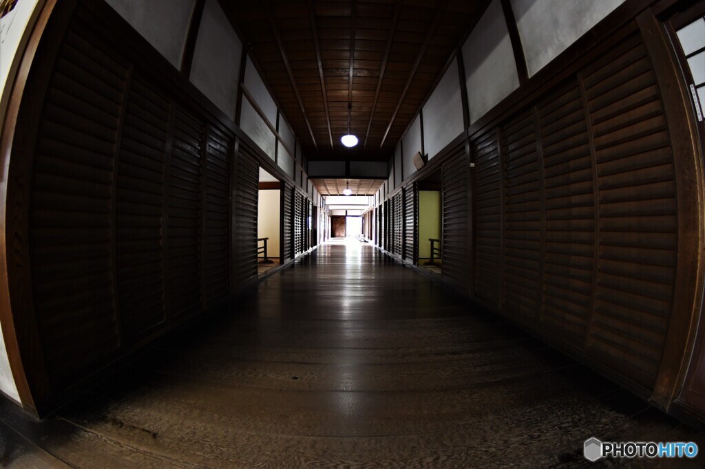 南禅寺の廊下・・・ (2)