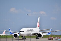 混み合う羽田空港