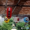 暑い日にはミストで・・・