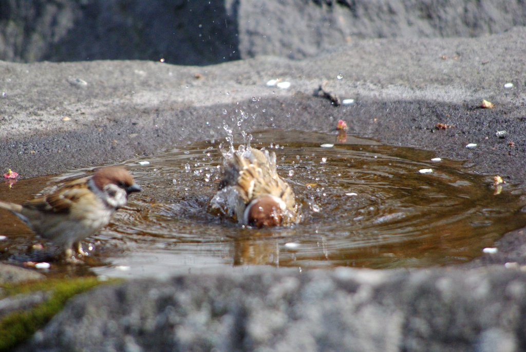 気持ちいい〜！