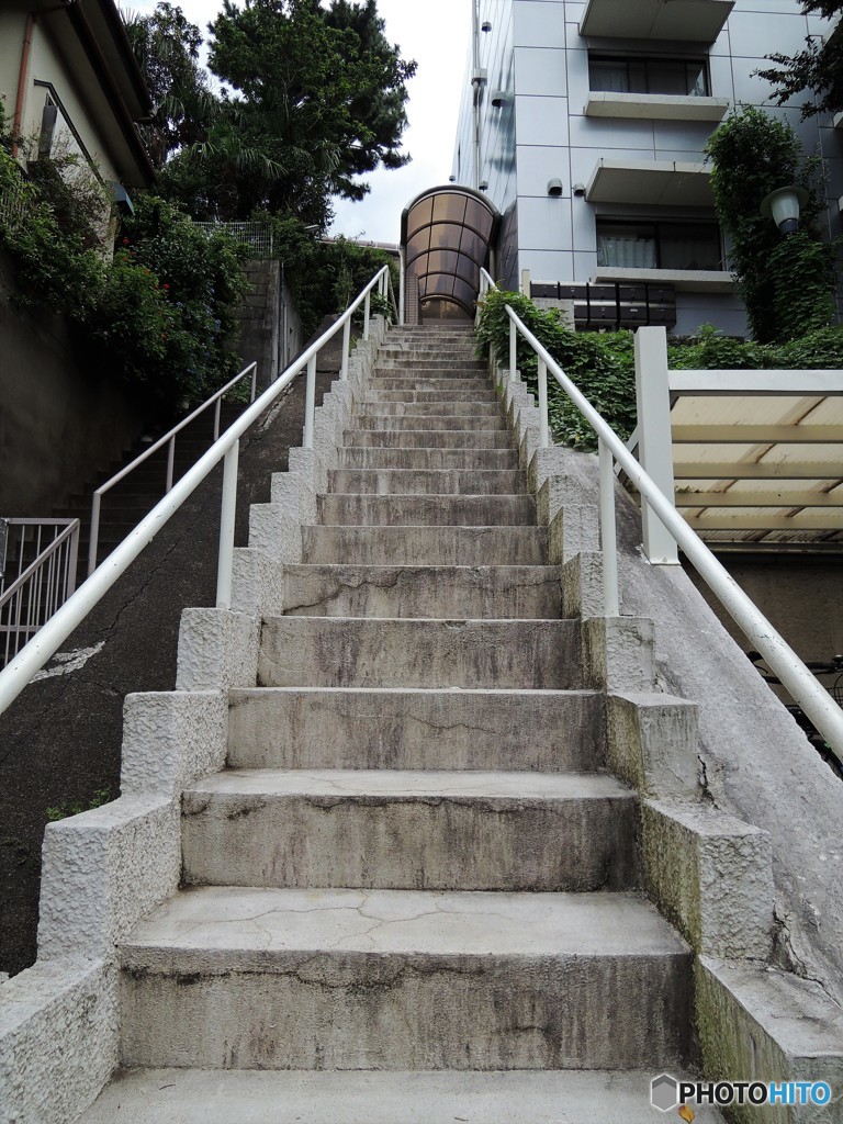 玄関への・・・階段