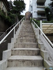 玄関への・・・階段