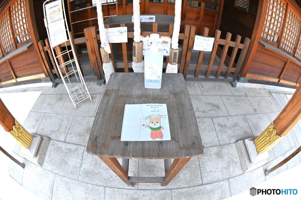 駒いぬちゃんの今日の一言