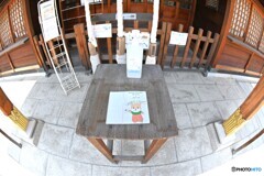 駒いぬちゃんの今日の一言