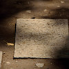 ”stone pavement”