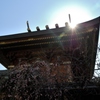 神頼み