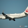 Japan　air　lines
