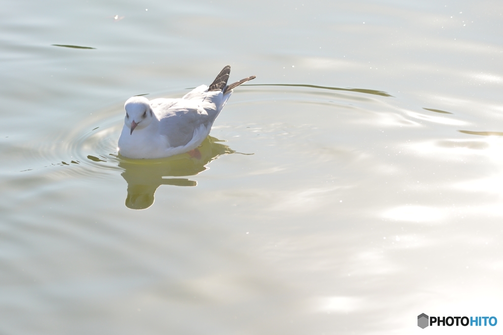 逆光を浴びて・・・