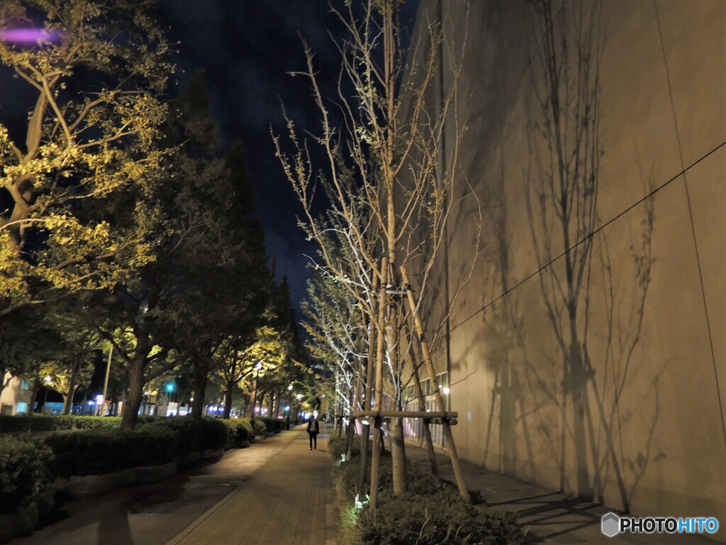 夜歩く