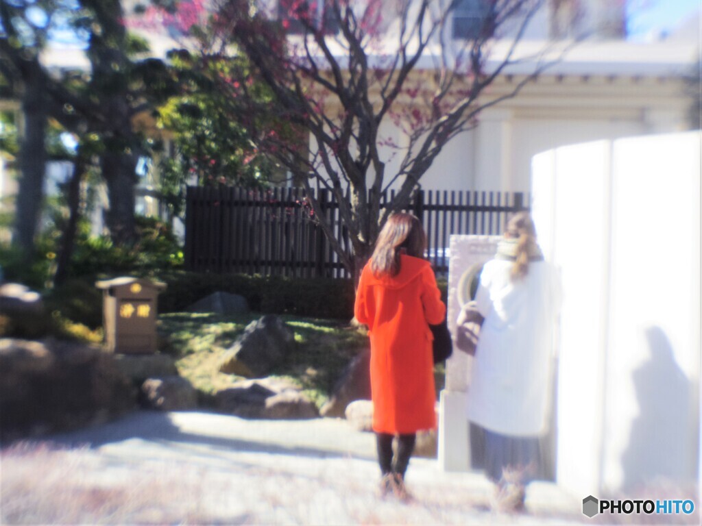 境内の・・・SNAP