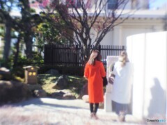 境内の・・・SNAP