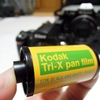 でた・・・Tri-X！