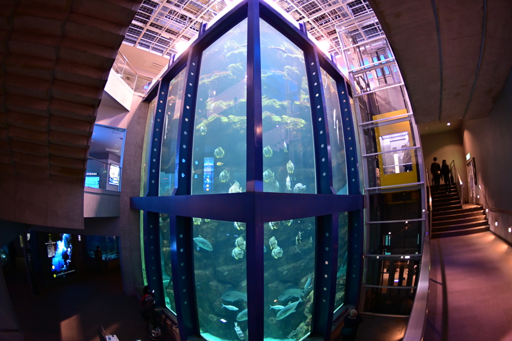SEA ZOO