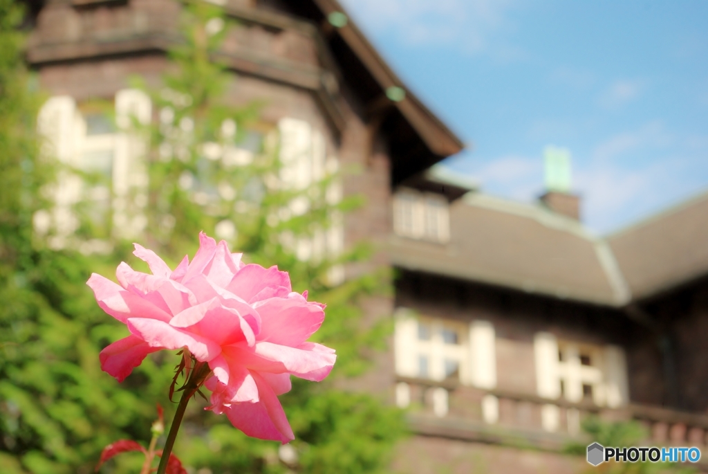 花のいのちは結構ながい～・・・というけど、