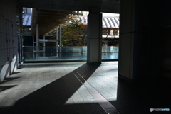 shadow