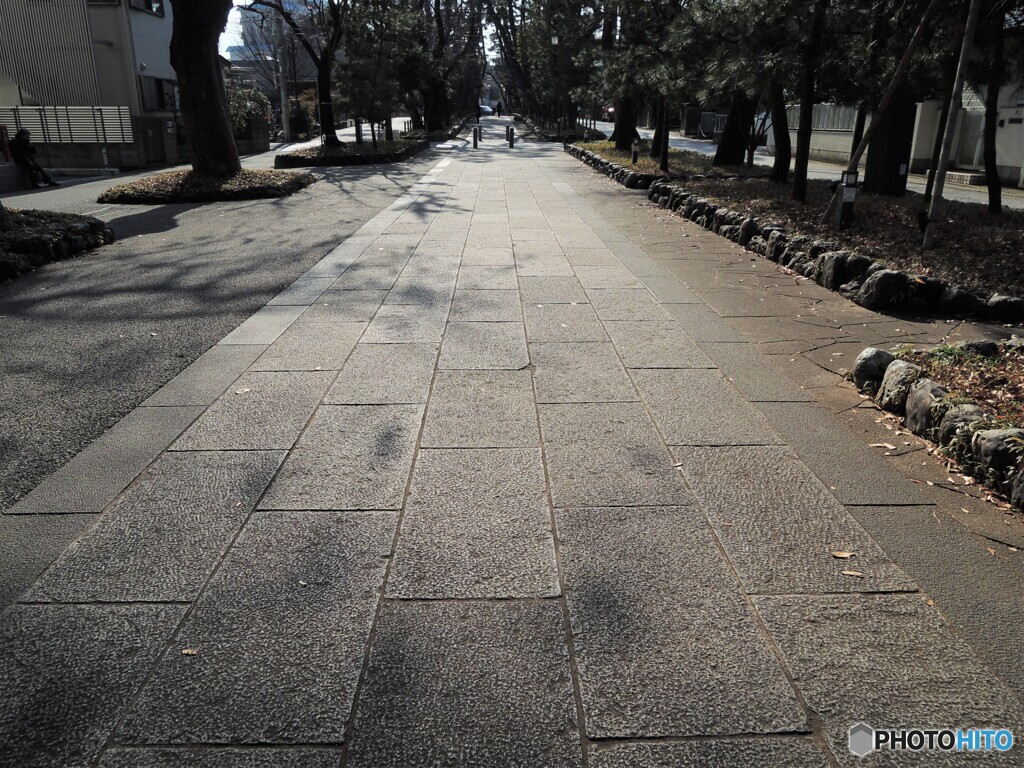 逆光下の・・・参道