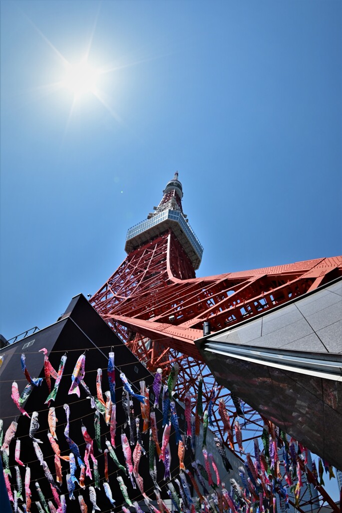 Did you visit the Tokyo Tower?