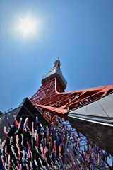 Did you visit the Tokyo Tower?
