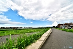 夏空色・・・多摩川右岸敷編