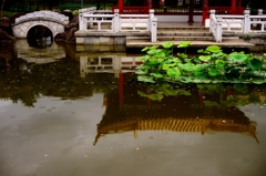 雨の城下