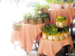 お花屋さんで・・・