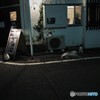 のらの集まり