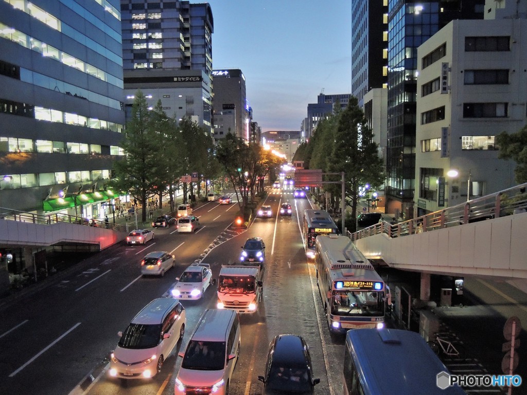 市役所通り