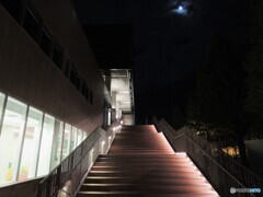 夜歩く・・・天国への階段（月夜ver)