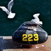 reserve223
