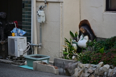 室外機とその・・・置物