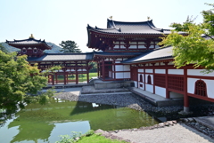 極楽浄土(鳳凰堂)を横から・・・