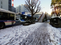 ゆきぐにかわさき・・・その参