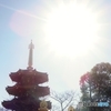 光来